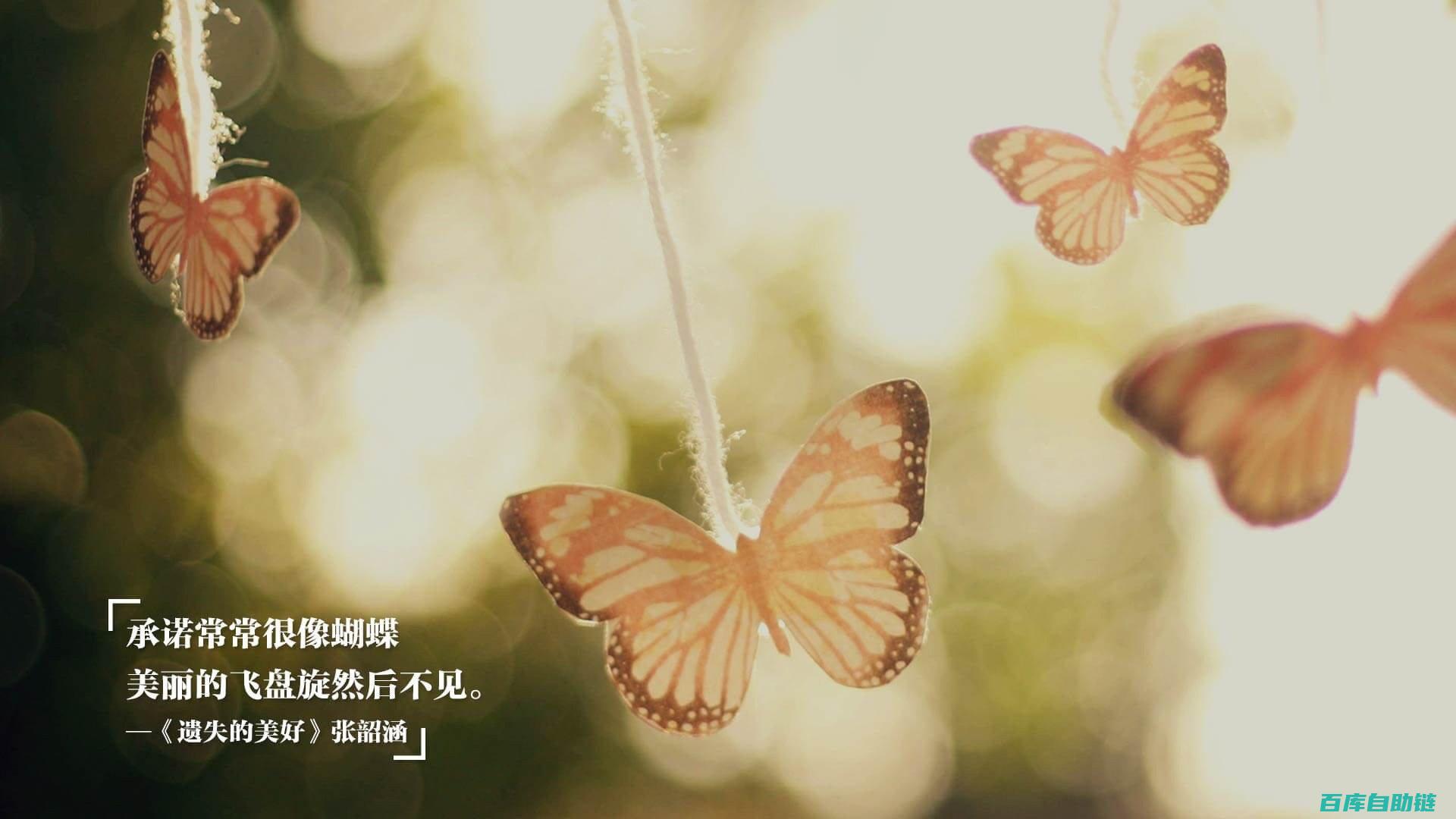 3种高级玩法
