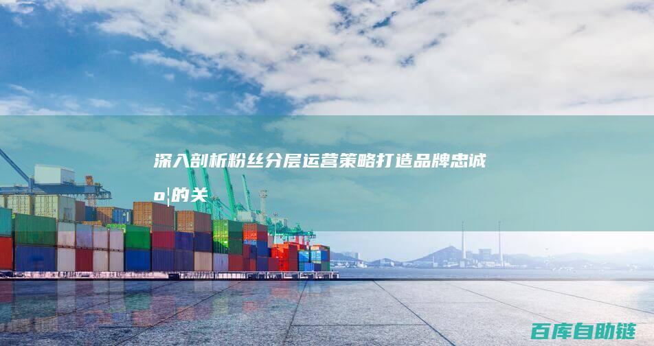 深入剖析粉丝分层运营策略打造品牌忠诚度的关