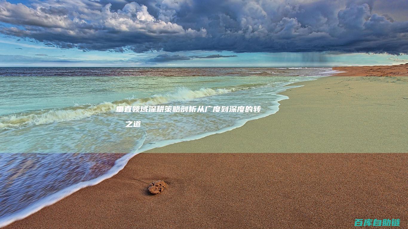 垂直领域深耕策略剖析：从广度到深度的转型之道