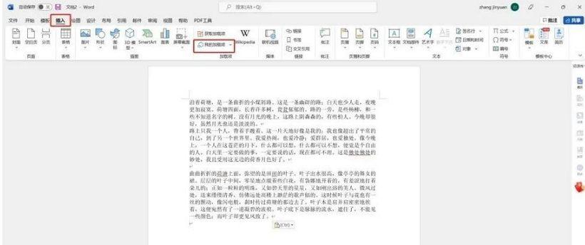 字幕校对全流程揭秘：如何确保准确性与质量