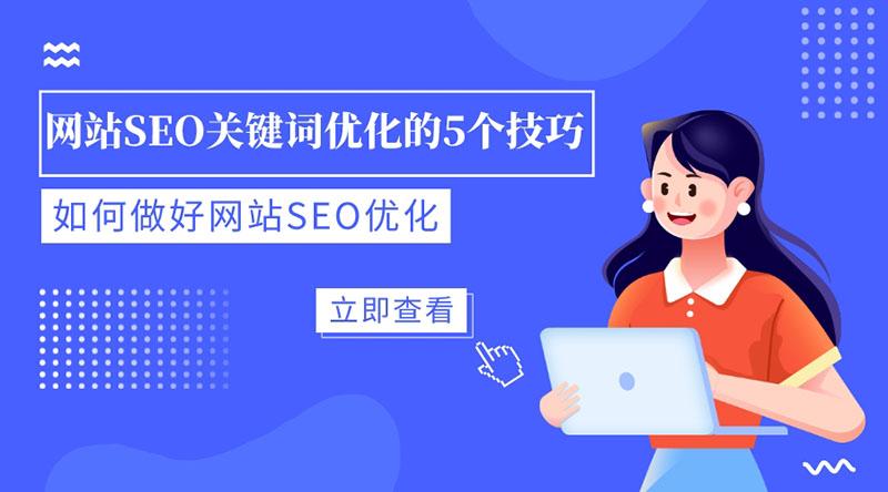 如何优化WordPress网站的RSS订阅功能