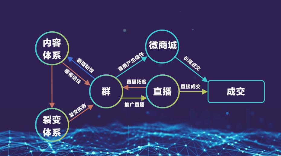 如何通过私域流量转化漏斗优化实现高效转化