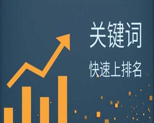 掌握这些技巧助你在抖音电商中脱颖而出