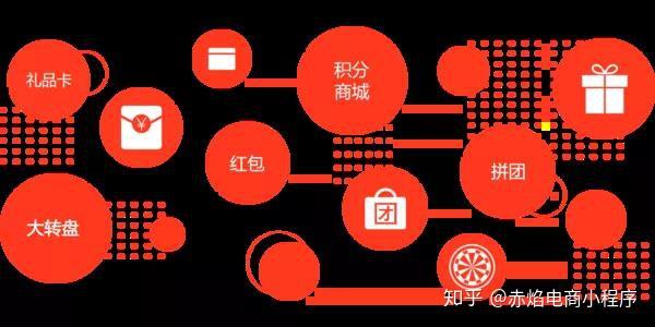 社交电商KOC培育计划：从草根到明星的孵化之道