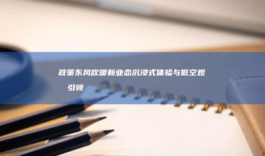 政策东风吹暖新业态：沉浸式体验与低空观光引领未来旅游新趋势