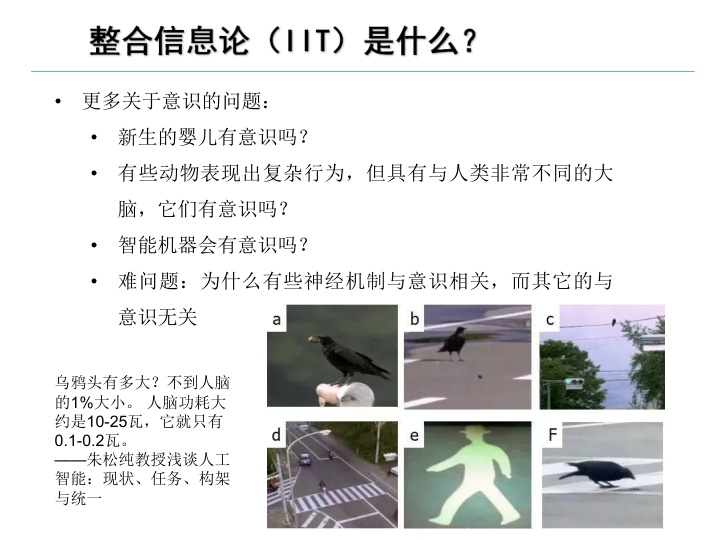 探索意识上传：数字永生背后的科学和技术前景