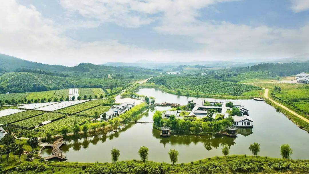 乡村旅游前景广阔：预计2025年收入突破8000亿元，年增长率达15%