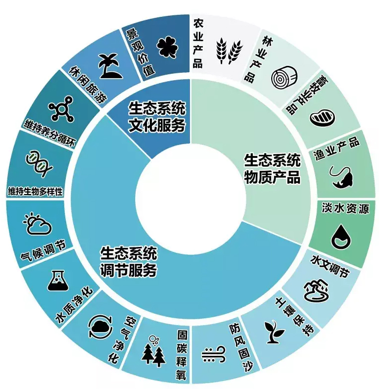 旅游碳排放监测系统试点启动：绿色出行新举措
