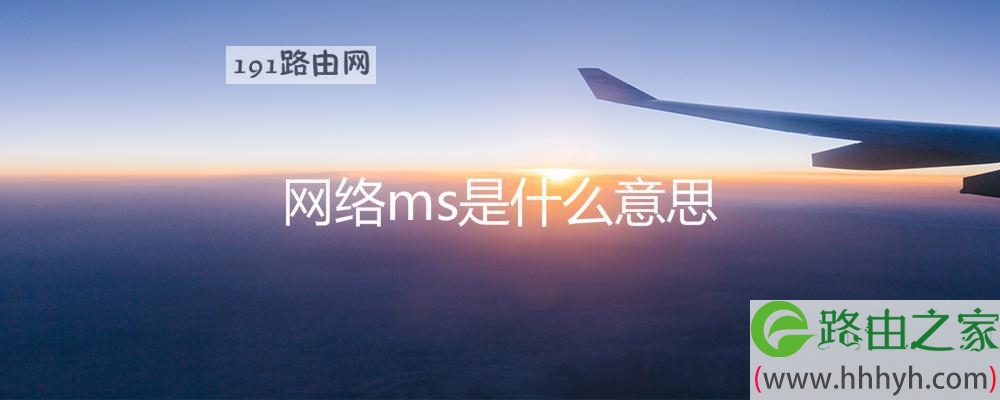 MS是什么意思 解析微软公司全称及相关缩写 (ms是什么意思?)