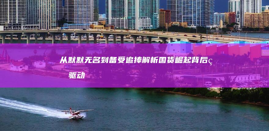 从默默无名到备受追捧：解析国货崛起背后的驱动力